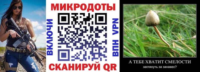 Галлюциногенные грибы мухоморы где купить наркоту Сорск